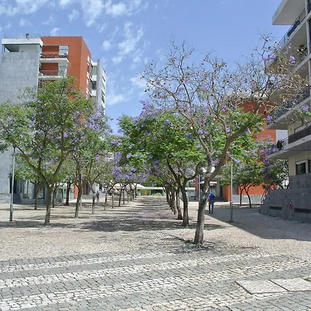 Mary Apartamento *