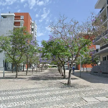 Mary Apartamento *